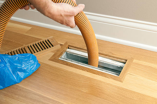 Best Air Duct Mold Removal  in Sergeant Bluff, IA